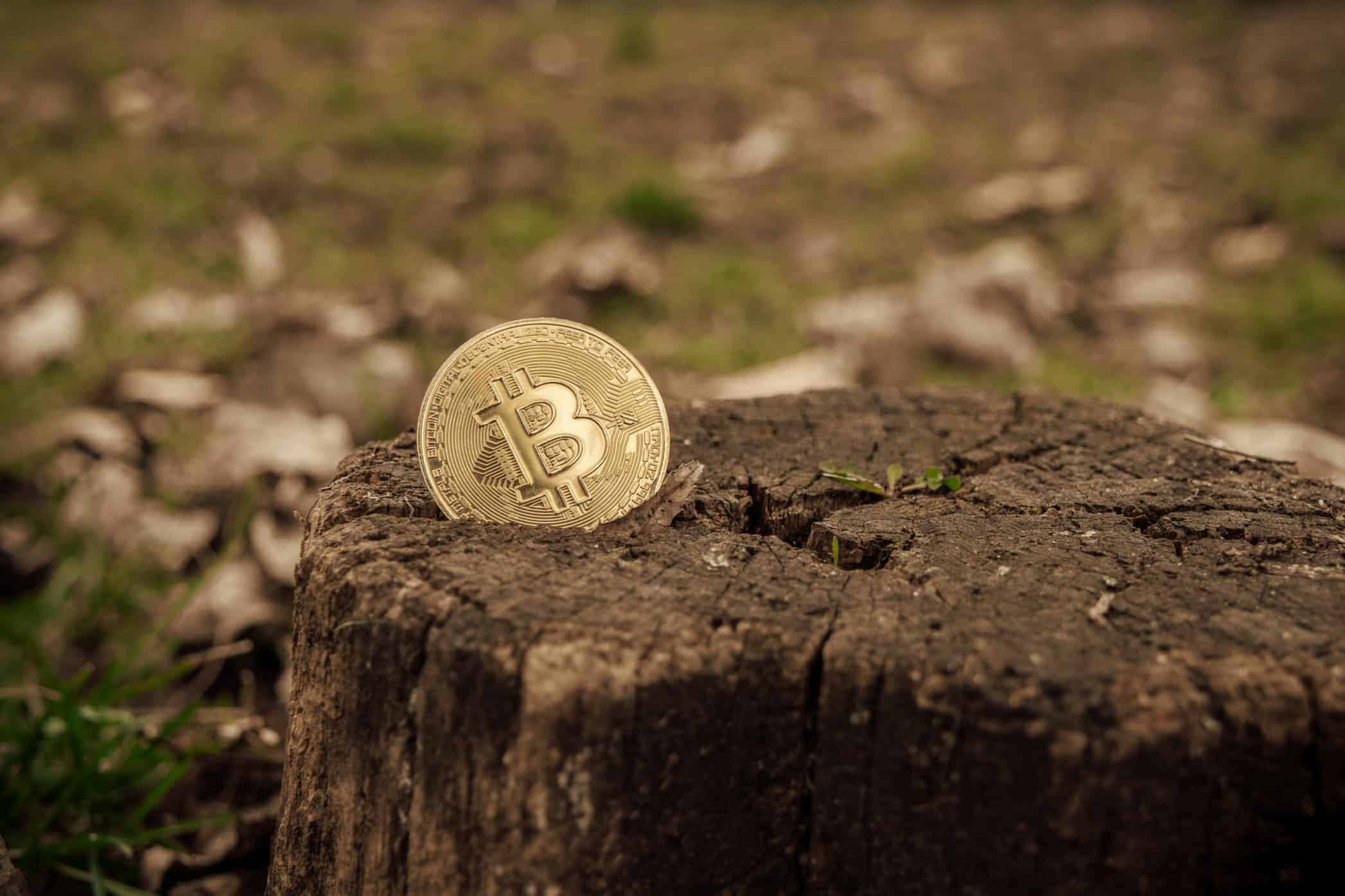 Environmentalists Are Campaigning Against Bitcoin (BTC) 26483