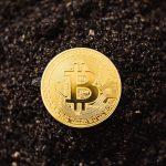 Bitcoin is Dead The Future of Bitcoin