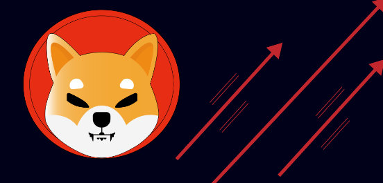 A close-up of a Shiba Inu dog's face, representing the playful and unique aspect of the cryptocurrency