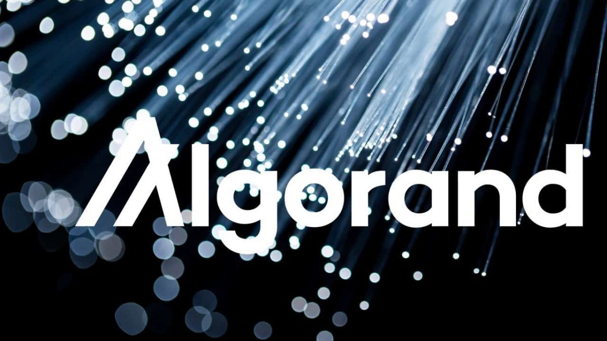 Algorand vs Bitcoin: Which One Will Prevail in the Future of Cryptocurrency?