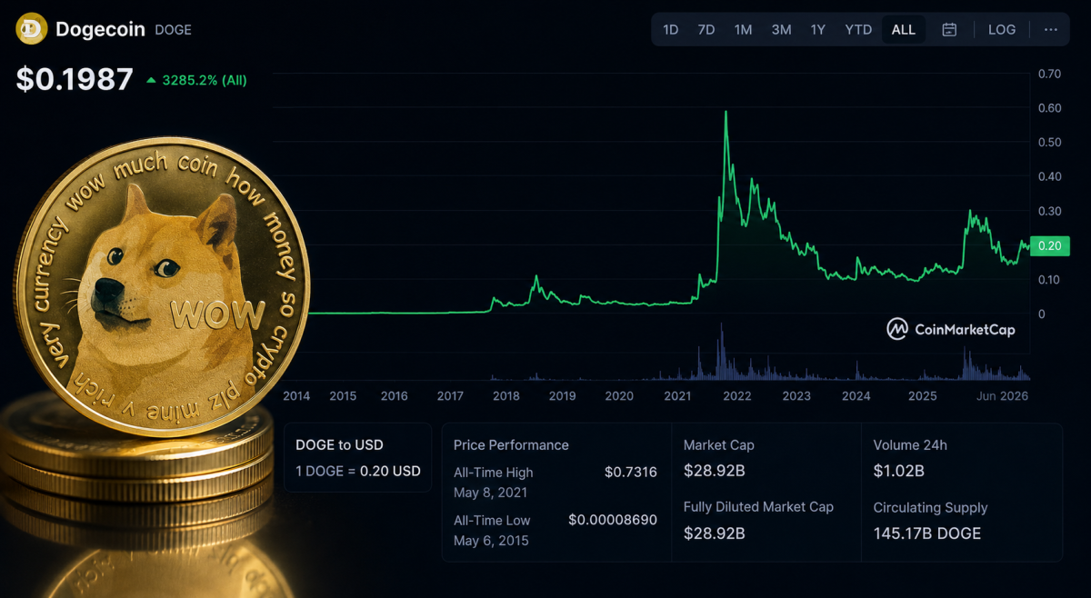 DOGE coin investing